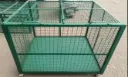 Cages 6.webp