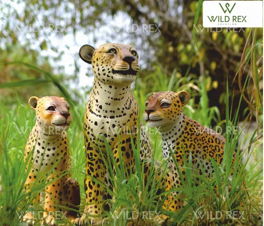 Leopord cubs.webp