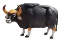 gaur.webp
