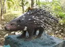 Porcupine.webp