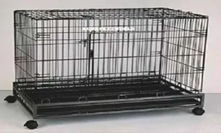 Dog Cage 