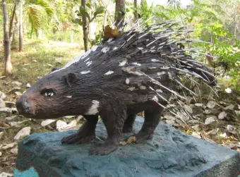 Porcupine 