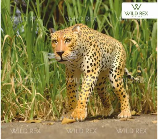 Leopard Standing 
