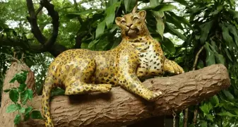 Leopard Sitting 