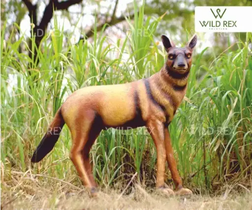 FRP Wolf 